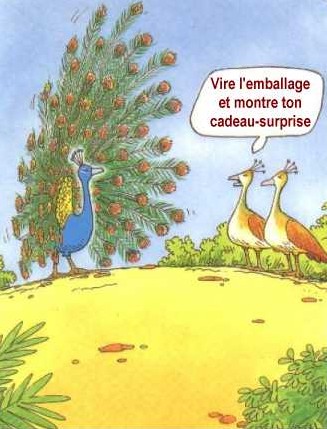 M�fiez-vous des apparences !
