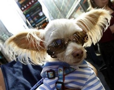 Il fait r�tir le chien de sa voisine !