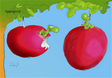 Je vais t'�pater mon pote, regarde !