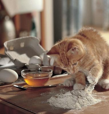 Prenez une souris bien grasse, de la farine, des oeufs......Chut ! C'est ma recette secr�te !