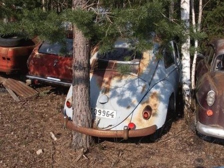 Voil� une voiture qui n'a pas roul�e depuis bien longtemps !