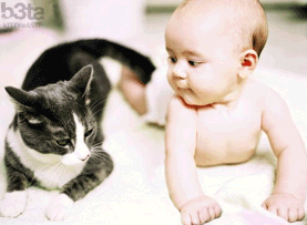 T'arr�tes maintenant !