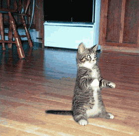 Gonfl�e, la ptite souris !