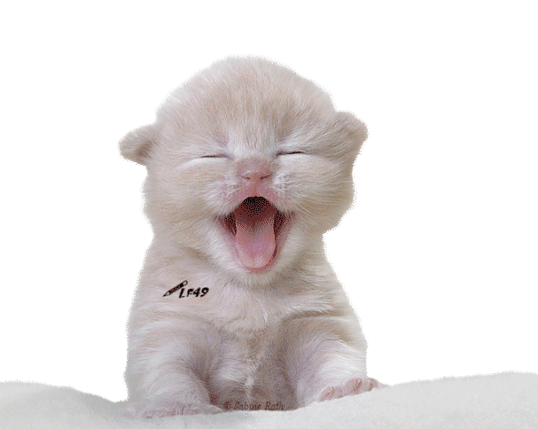 Trop dr�le !