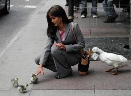 Comment d�tourner l'attention !