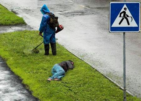 Attention � la faucheuse !