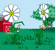 Faudra que j'observe plus souvent la nature, c'est stup�fiant !