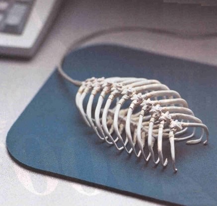 Un nouveau virus a attaqu� ma souris !
