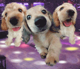 J'adore les bo�tes de nuit, on s'�clate avec les potes