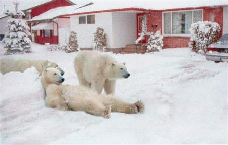 Au Canada, les journ�es sont vraiment trop cool !!