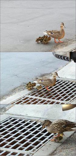 Ils sont o� les autres ??