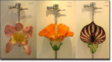 Surprenantes toilettes !