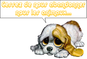 Non � l'abandon !