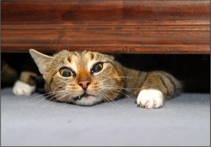 Help ! Chui coinc� !