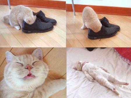 Le meilleur des somnif�res !