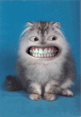 J'utilise un dentifrice au fluor !