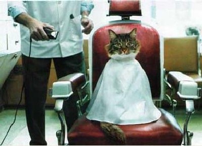 Bien d�gag� sur la nuque, svp !
