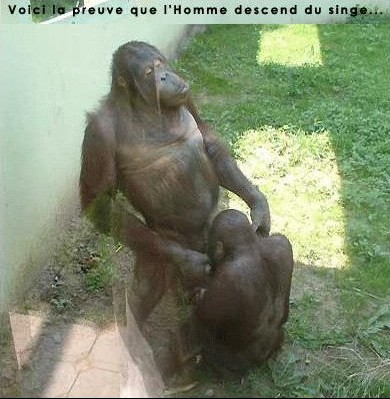 C'est dans les g�nes !