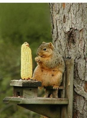 Bon app�tit !