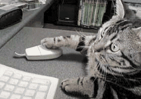 Toujours la m�me chose avec cette foutue souris ! 