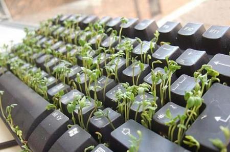 Ne laissez pas votre clavier sans activit� car la nature reprend ses droits !