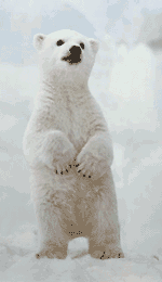 Petite danse de s�duction !