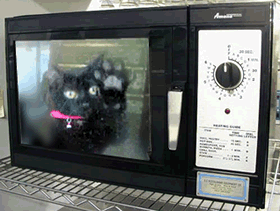 Help ! Sortez-moi de l� ! Miaou !