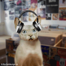 La techno �a rend compl�tement dingue !