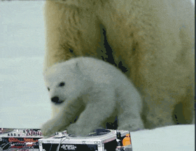 Moi, je veux �tre DJ quand je serai grand !