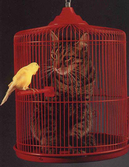 Alors, �a fait quel effet ! Hein !