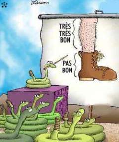 R�capitulons !