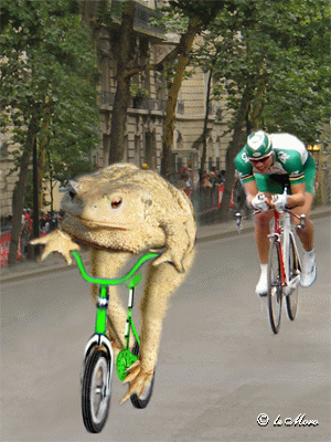 Il peut toujours p�daler, il me rattrapera jamais !