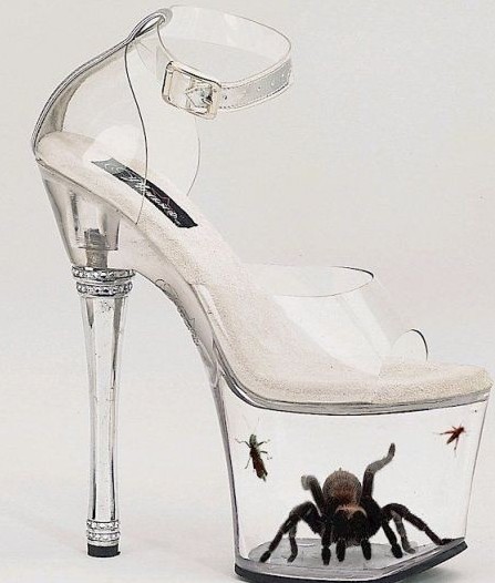 La chaussure qui fera fureur l'�t� prochain !