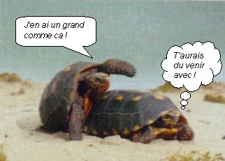 Quel vantard celui-l� !