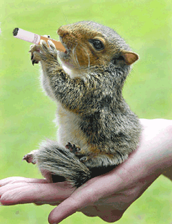 Mais c'est qu'il y prendrais go�t ce petit !