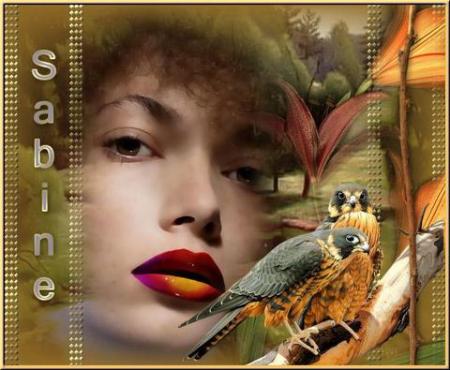 Merci Sabine pour ta superbe cr�ation ! Gros bisou