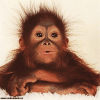 Tu me fais honte mon pote !