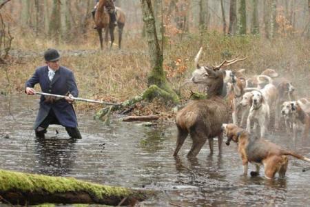 Stop � la chasse � courre en France