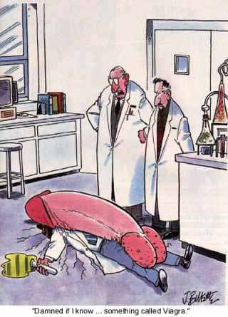 Peu de chercheurs ont surv�cu aux recherches sur le viagra !