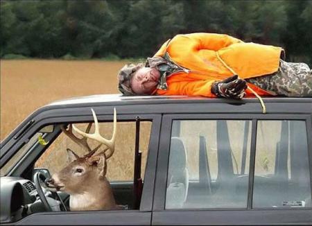 La chasse a �t� fructueuse aujourd'hui !