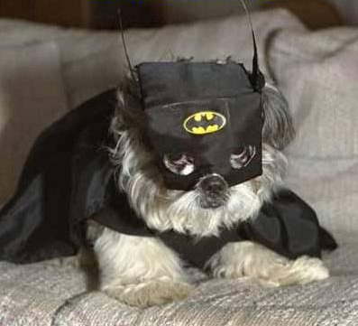 Pssst ! Je suis l� incognito !