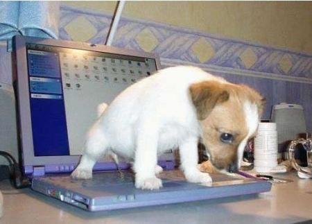 J'esp�re que maintenant ils me sortiront plus souvent Na !