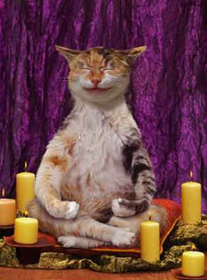 La m�ditation transcendantale pour rester zen !