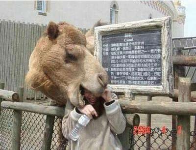 Arr�te de me prendre la t�te !